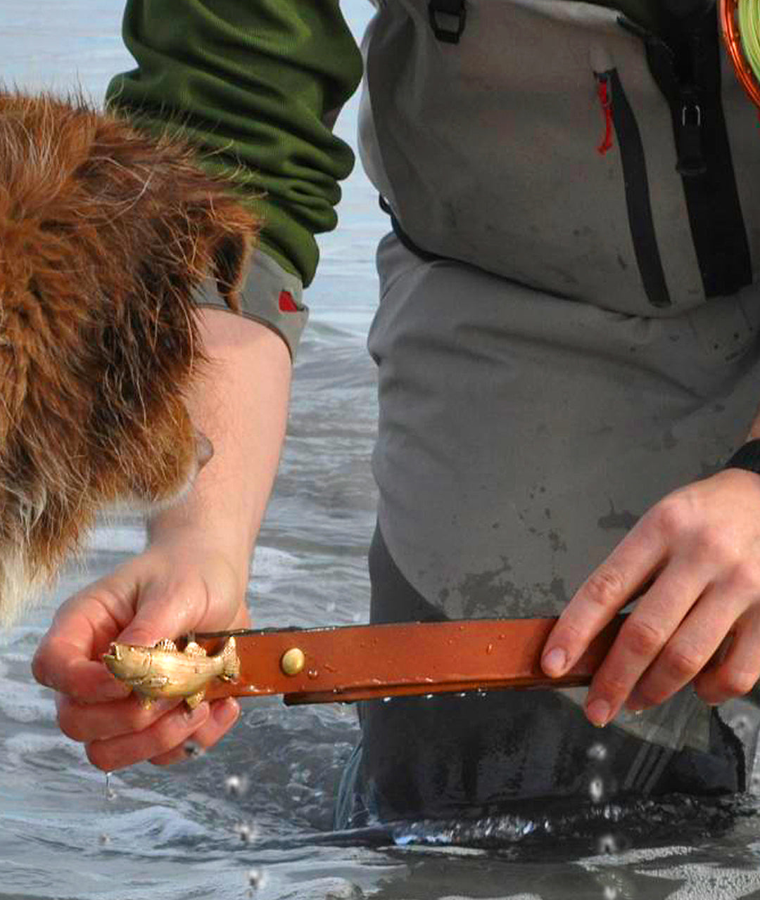 Dog using a handmade fish collar